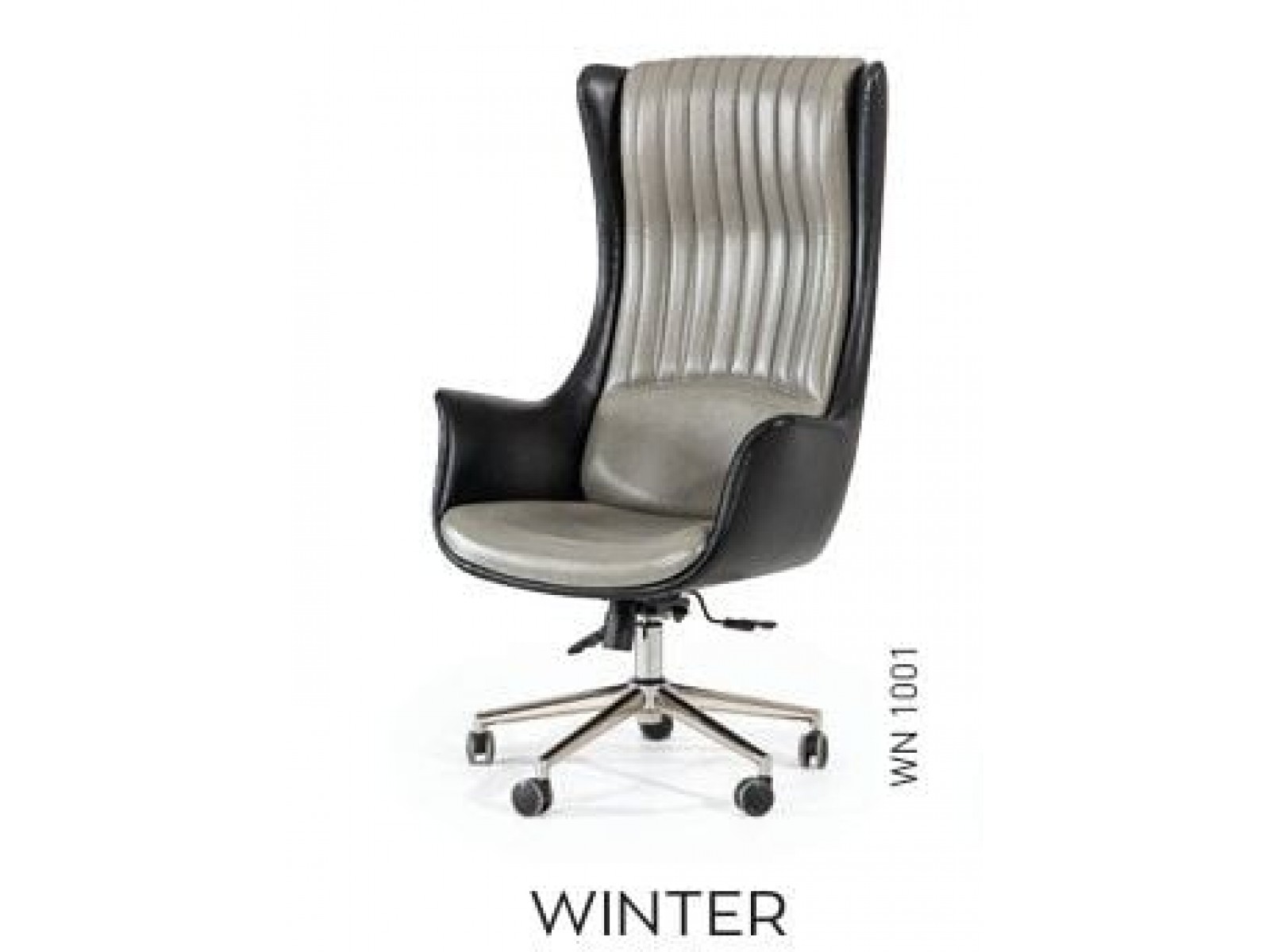 Ofis Winter Müdür Koltugu