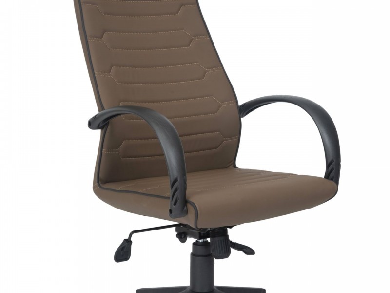 NANO MÜDÜR KOLTUĞU